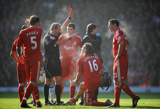 张伯霖谈摇篮舞庆祝：是庆祝我家两只小狗出生（张伯霖回应摇篮舞：为庆祝家中两只小狗诞生）